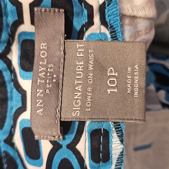 Ann Taylor Womens Signature Fit Lower On-Waist Size 10P - Picture 7 of 12